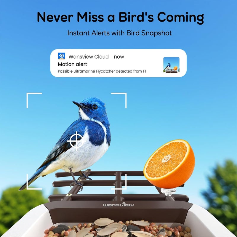wansview Bird Feeder with Camera-Smart Bird Feeders for Outdoors Solar Powered, Birdhouse with Cam & Instant Alert, 2K Live Video, AI Identify Species, Ideal Gift for Tech Lovers, F1, Brown, 2.4G WiFi - Image 3